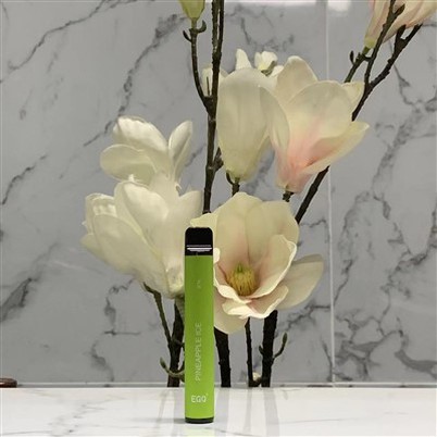 Jednokratne Vape E Cigs